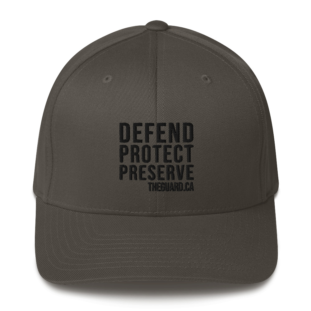 Defend. Protect. Preserve. Structured Twill Cap - Image 7