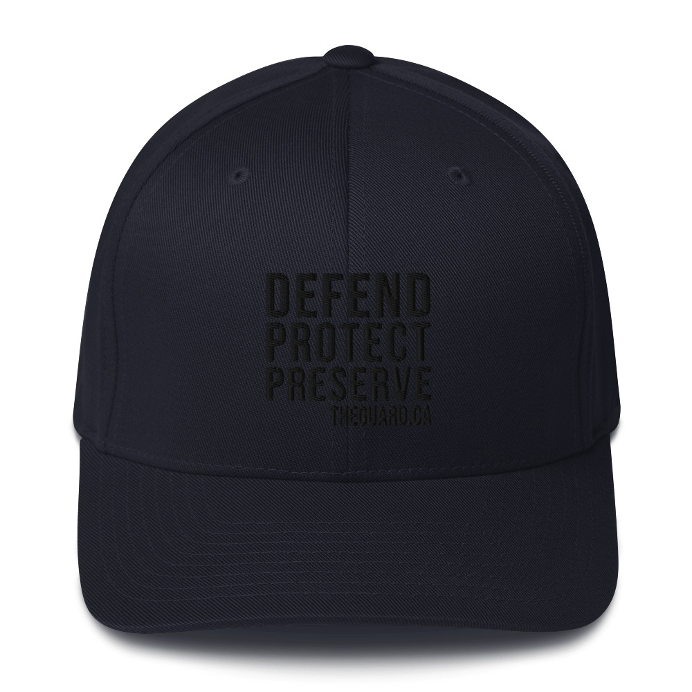 Defend. Protect. Preserve. Structured Twill Cap - Image 3
