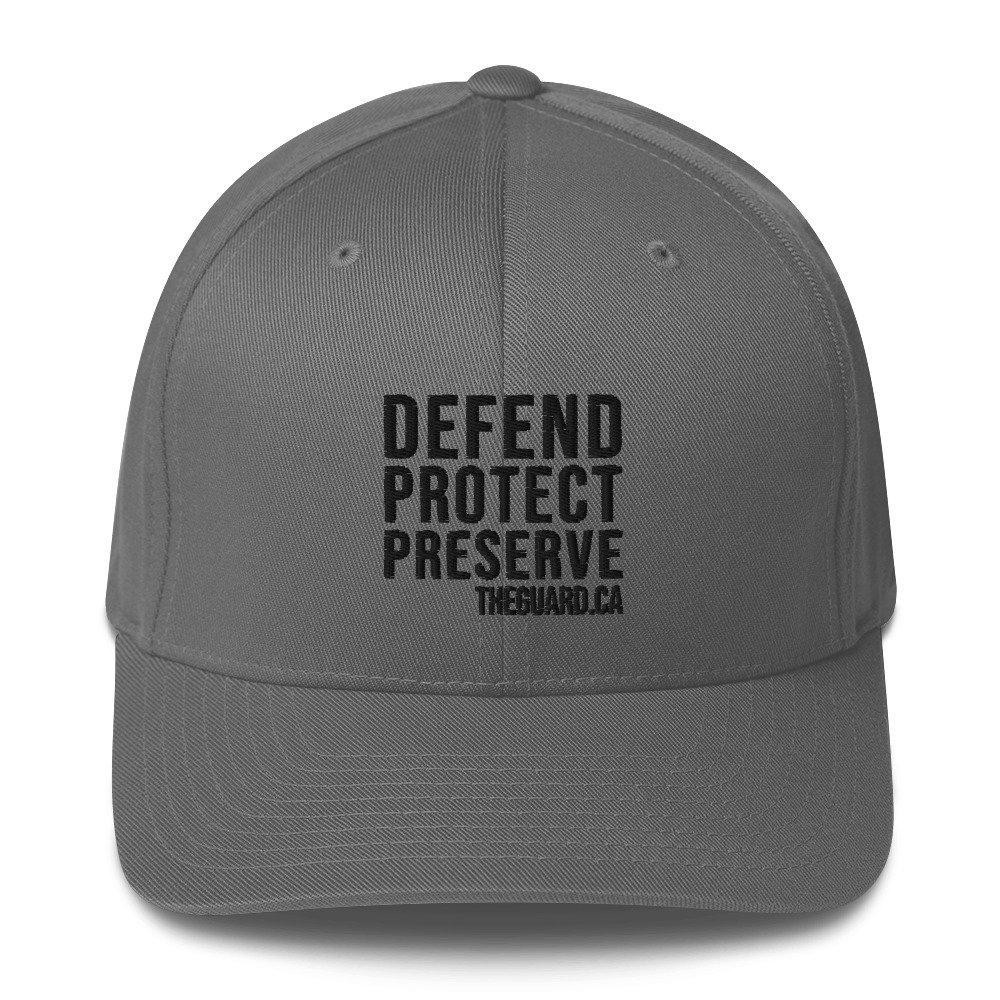Defend. Protect. Preserve. Structured Twill Cap - Image 8