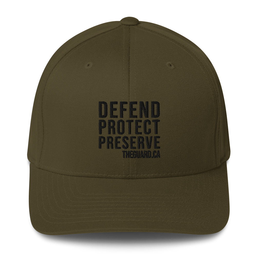 Defend. Protect. Preserve. Structured Twill Cap - Image 6