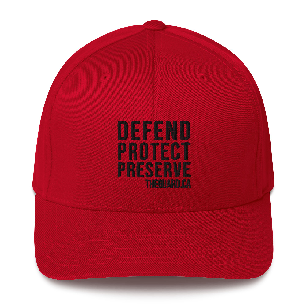 Defend. Protect. Preserve. Structured Twill Cap - Image 5