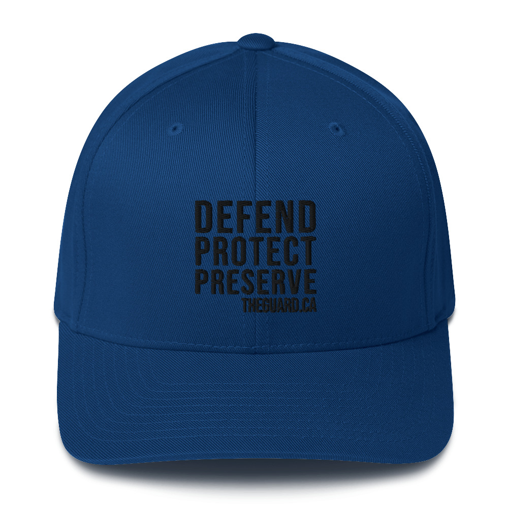 Defend. Protect. Preserve. Structured Twill Cap - Image 4