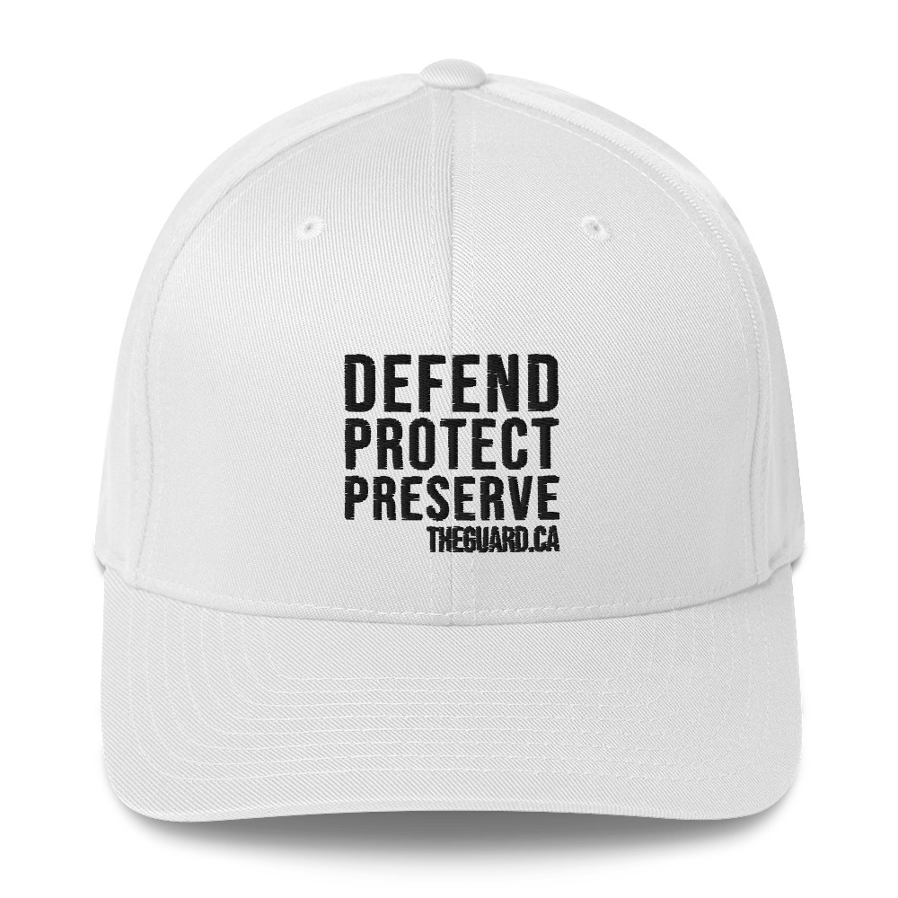 Defend. Protect. Preserve. Structured Twill Cap - Image 9
